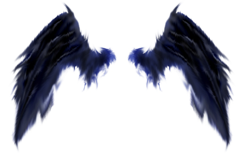 Alas Negras del Dios de la Luz | Wiki Fairy Tail FanFiction | FANDOM