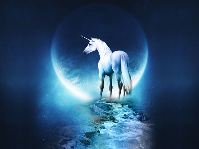 Fichier:6376ee94c5d660bb76f4a903dcdf9669 large.jpeg