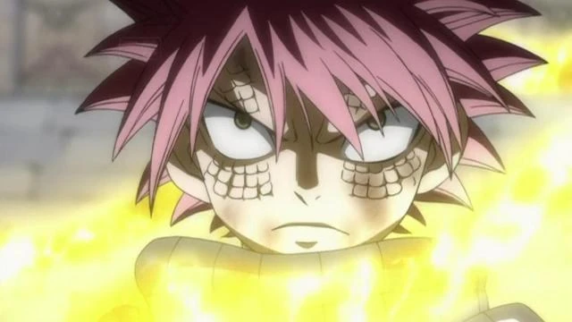 Chasseur De Dragon Fairy Tail