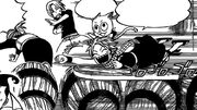 La fête à fairy tail