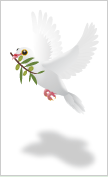 PeaceDove