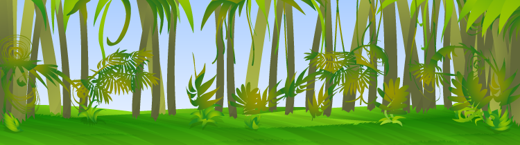 Bg rainforest