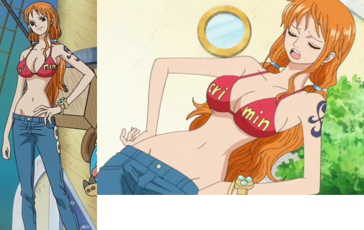 Image Nami Criminal Bra.png Fairy One Piece Tail Wiki FANDOM