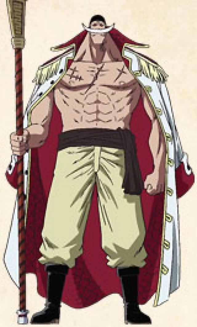 Image Cha whitebeard.jpg Fairy One Piece Tail Wiki FANDOM powered