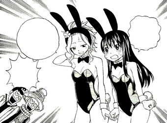 Levy Mcgarden Fairy Tail Wiki Fandom
