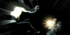 Justicia Hohoho