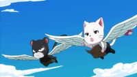 Pantherlily, Carla