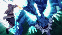 Natsu vs. Animus