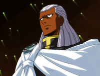 Brain as the leader of the BMD