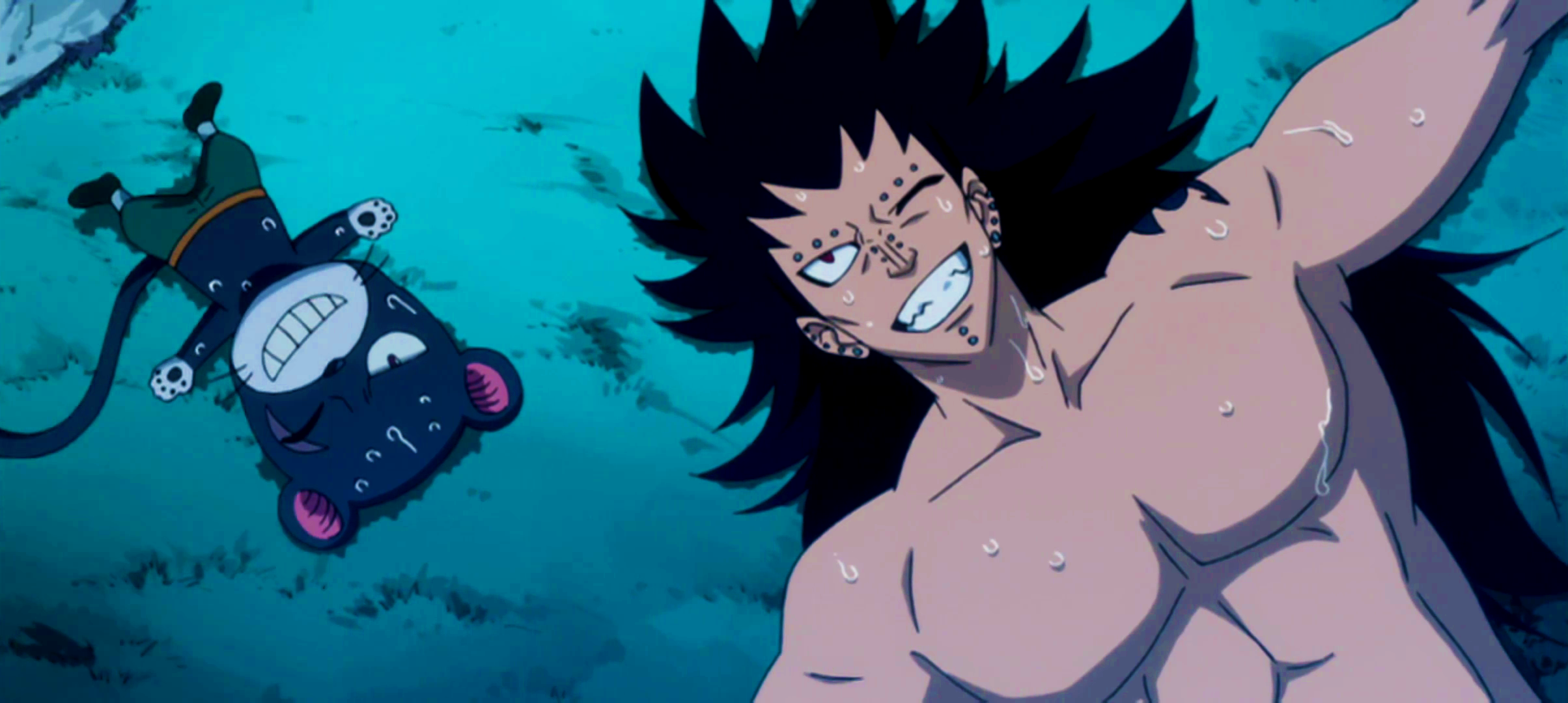 Panther Lily Fairy Tail Wiki Fandom