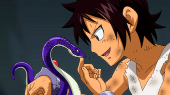 Erik Fairy Tail Wiki Fandom