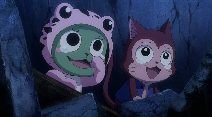 Frosch Fairy Tail Wiki Fandom