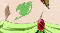 E mark