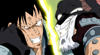 Panther Lily Fairy Tail Wiki Fandom