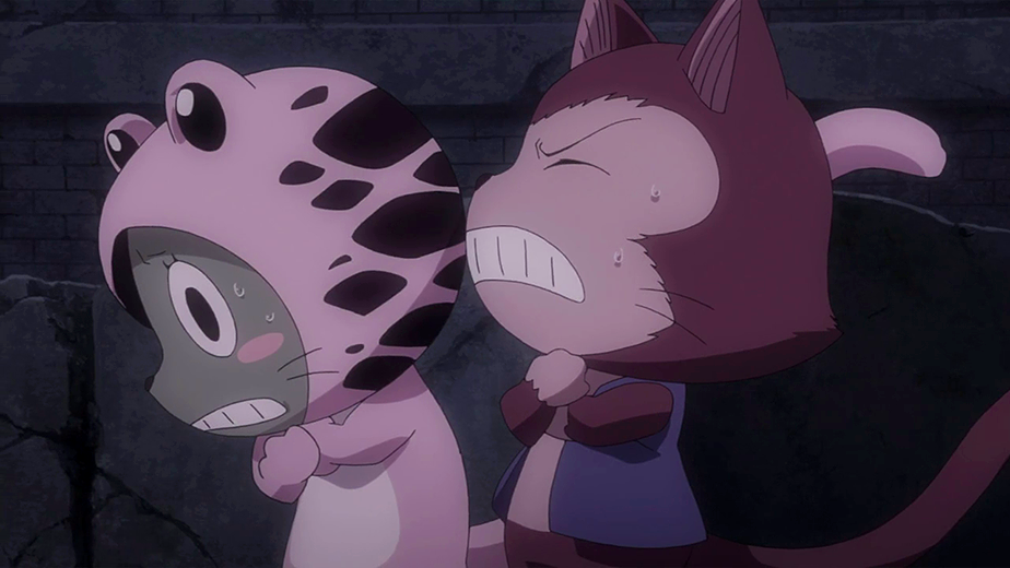 Frosch Fairy Tail Wiki Fandom