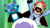 Reaction to Lisanna