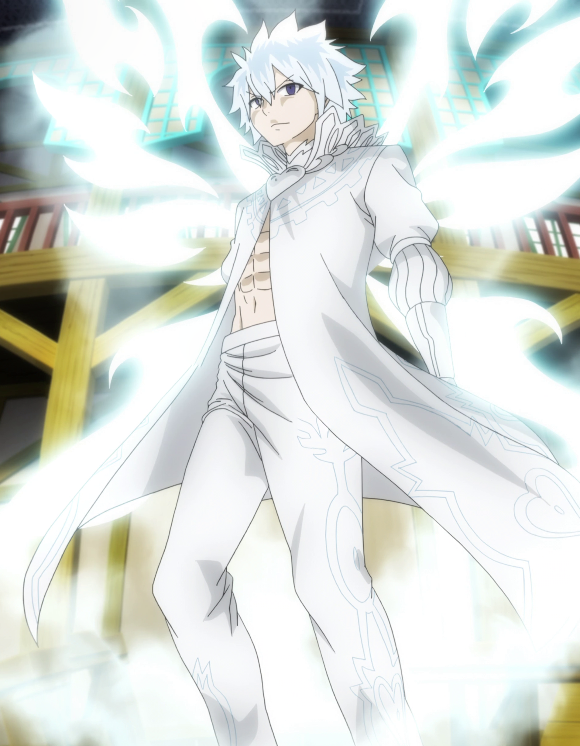 fairy tail acnologia human form