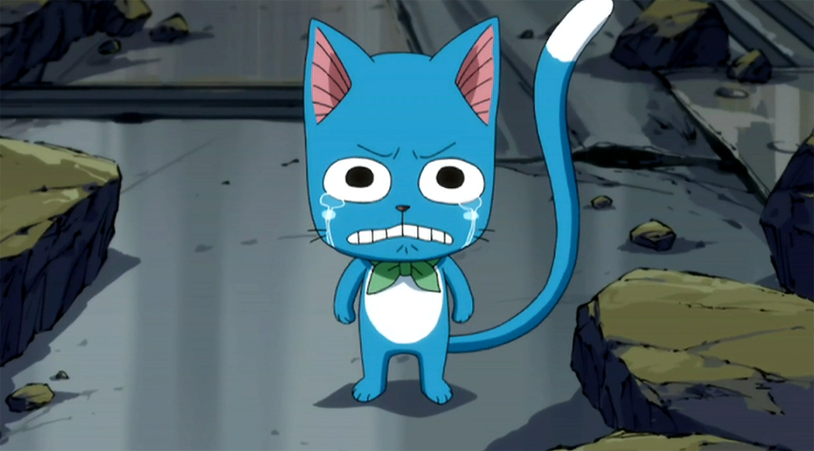 Image - Happy cries, when he saw Natsu is loosing.jpg | Fairy Tail Wiki