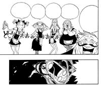 Beautiful and Ugly maid
