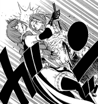 Erza's final struggle against Irene