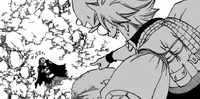Gildarts and Natsu reunite