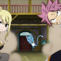Nalu Fairy Tail Couples Wiki Fandom
