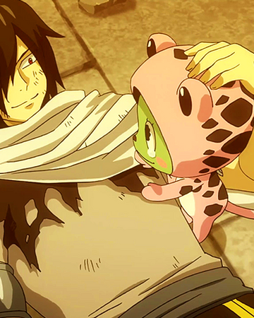 Rogue And Frosch Fairy Tail Couples Wiki Fandom