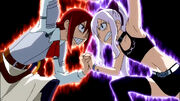 ErzaVs.Mirajane