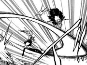 ZebedeeSwordsmanship