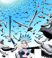 Bird magic