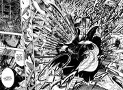 Catarina Requip