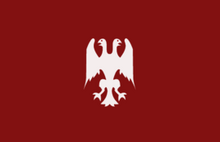Rebel's Flag