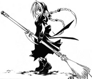 Broom of Zephyrus 3