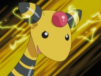 Ampharos de William