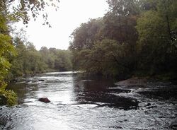 Fyllean Tofta OF