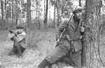 Vazii soldiers in Caladonia forests.