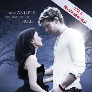 Fallen Lauren Kate Series Wiki Fandom