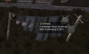 Clothes