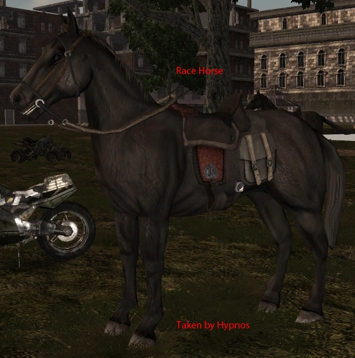 Race Horse Bridle Fallen Earth Wiki FANDOM powered by Wikia