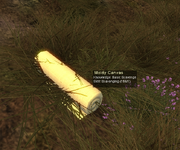 Node moldy canvas