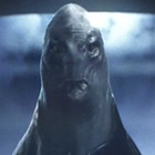 Fallingskiesskinnyhead