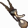 Amulet