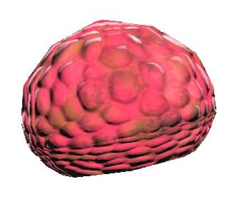 Corpse Flower Seeds Fallout 76 Best Flower Wallpaper