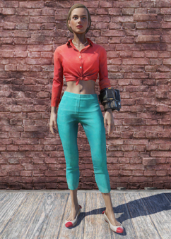 blouse and capris