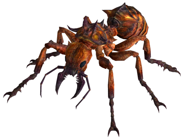 File:Fire ant.png