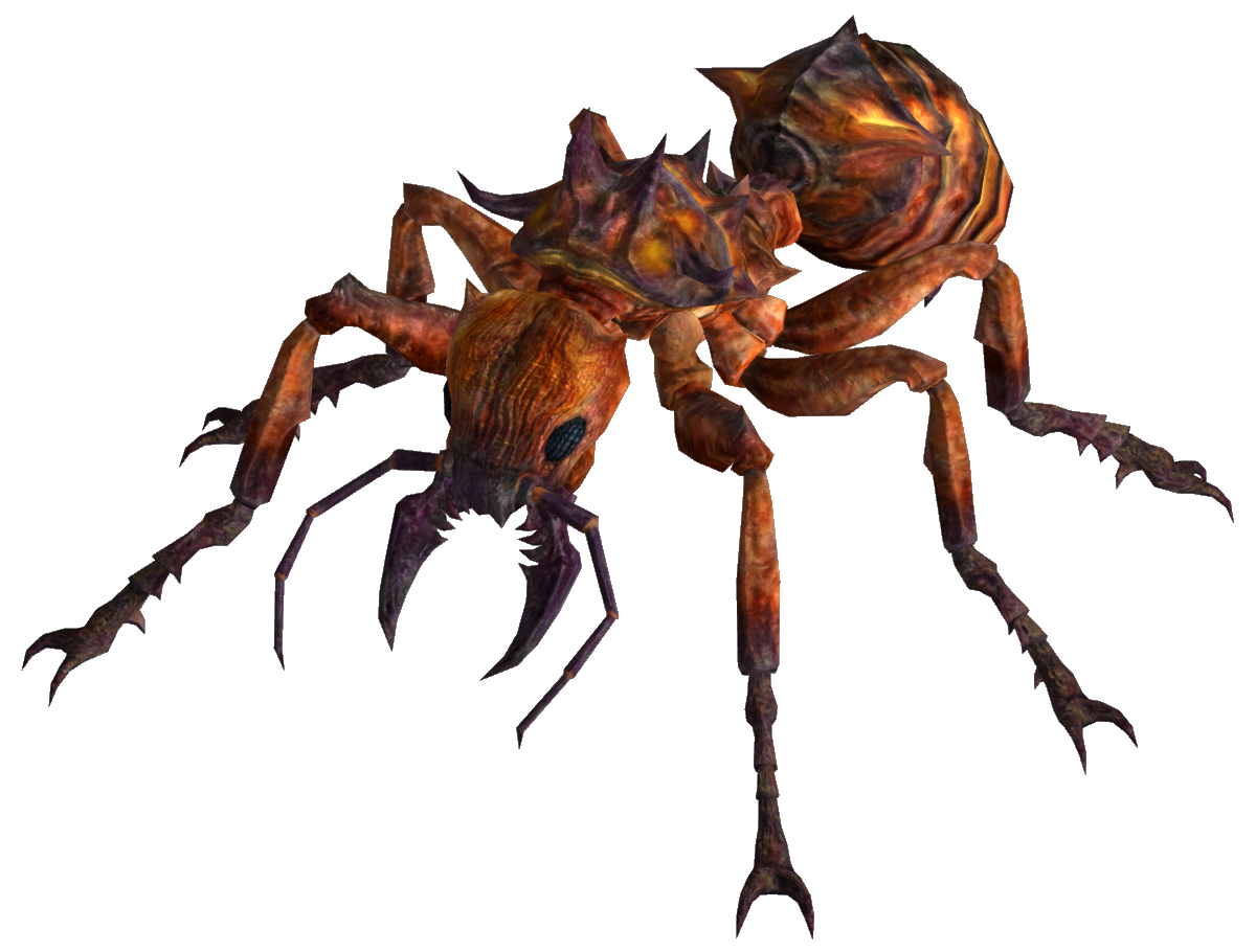 fire ant fallout 3 fallout wiki fandom powered by wikia