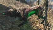 FO4 Alpha glowing mongrel