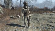 FO4 Synth Stormer