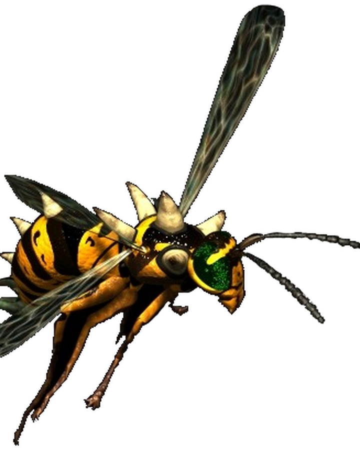 Giant Wasp Fallout Wiki Fandom