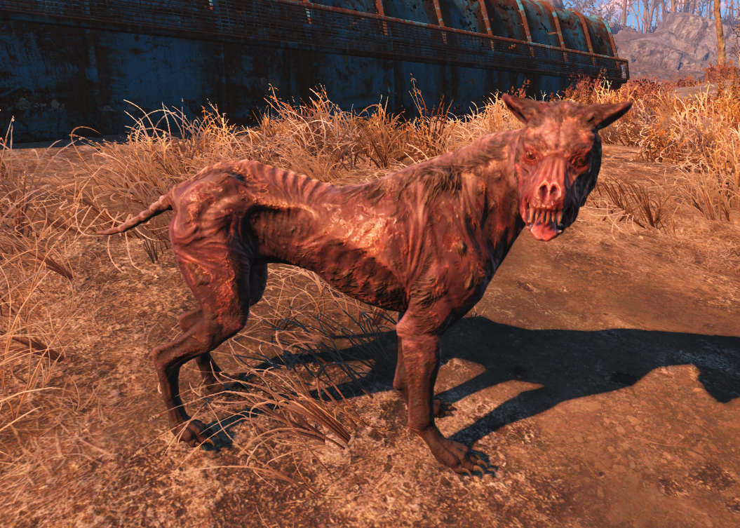 Wounded dog | Fallout Wiki | Fandom